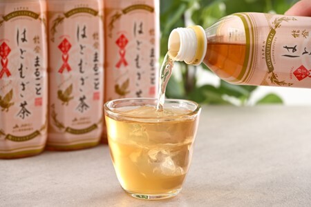 【6回定期便】 はとむぎ茶 ペットボトル 24本 ペットボトル