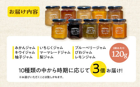 季節の果実ジャム 3個（各120g） 長与町/アグリューム [EAI088]  瓶 セット ジャム じゃむ 季節の果実 果物 詰め合わせ フルーツジャム 国産 10000円 1万円