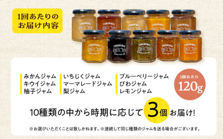 【3回定期便】季節の果実ジャム 3個（各120g） 長与町/アグリューム [EAI089]  瓶 セット ジャム