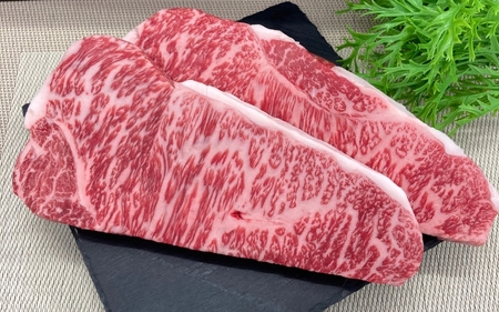 【月3×6回 計18回発送】肉の横綱　伊賀牛まるごと食べ尽くし【cook-tkb0004】