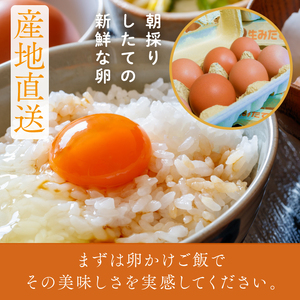 U-6 ◆12ヵ月定期便◆ 黄身がしっかり濃厚な卵【アスタの恵み】50個×12