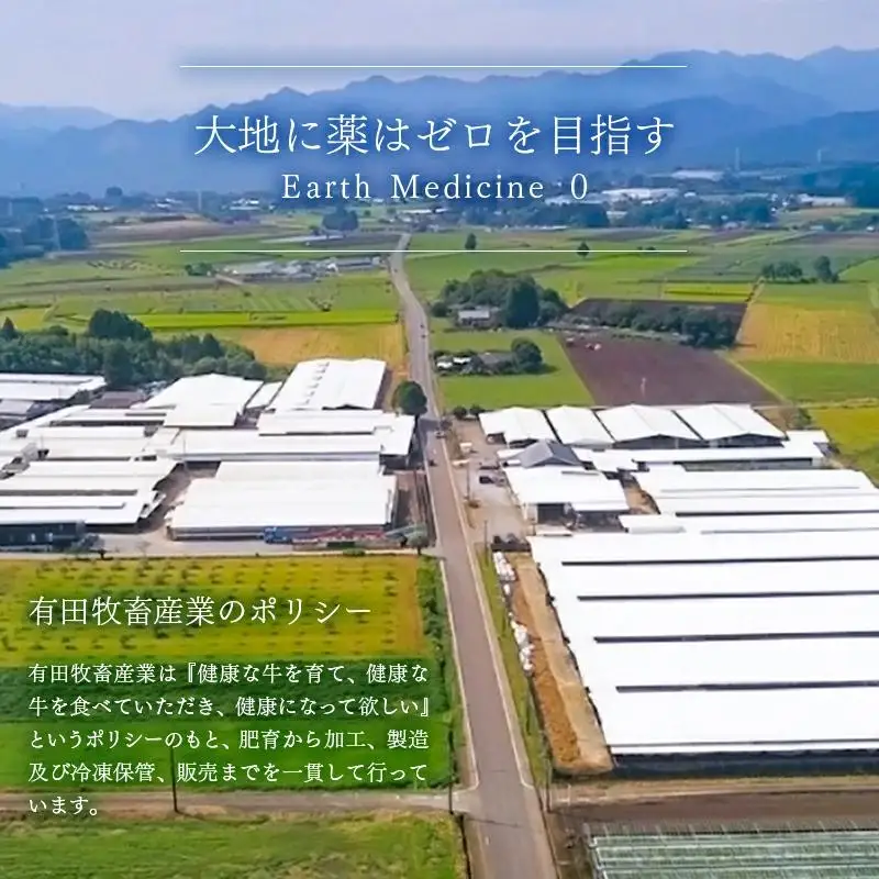 黒毛和牛 希少部位を含む特選焼肉500g 部位おまかせ 有田牧場＜14-11a＞