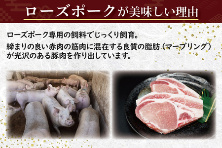 【常陸牛・ローズポークステーキ焼肉セット(5~7人前)】 常陸牛 サーロインステーキ 約600g(300g×2枚) ローズポーク焼肉用 約400g (ロース200g ばら200g) ( 茨城県共通返礼品・茨城県産 ) ブランド牛 茨城 国産 黒毛和牛 霜降り 厚切り 牛肉 ブランド豚 豚肉 冷凍 ステーキ 焼肉_CY038