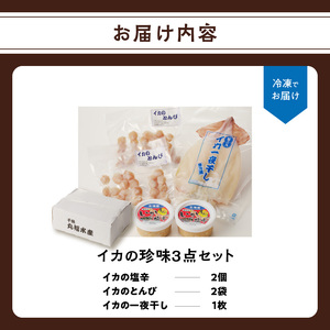 イカの珍味 3点セット｜イカ一夜干し 干物 塩辛 とんび 酒の肴 珍味 おつまみ【A153】