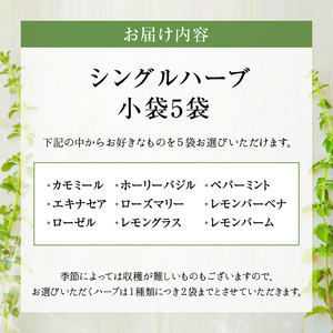 熊本ハーブ園レモングラス産 農薬不使用シングルハーブ小袋5袋セット _U42-0016