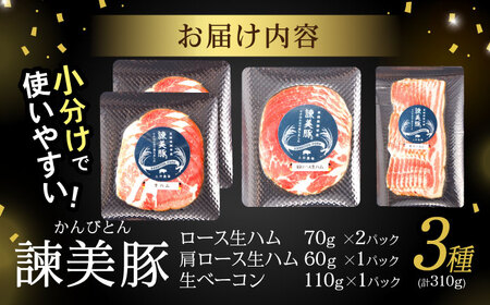 【お中元対応可】諫美豚 生ハム＆生ベーコン 3種セット計4P / 豚肉 ぶたにく ハム はむ 生ハム ベーコン 生ベーコン ロース 肩ロース バラ 小分け / 諫早市 / 株式会社土井農場 [AHAD058]