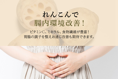 【数量限定・先行予約】 ご家庭用ちょっと小さめ れんこん 約4kg れんこん レンコン 蓮根 茨城 国産 お正月 おせち 野菜 17-AF ＜11月中旬～12月上旬発送予定＞
