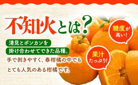 家庭用 しらぬい 10kg 不知火