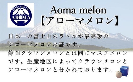 【通年出荷】 高級 マスクメロン 白級 1玉  化粧箱入 