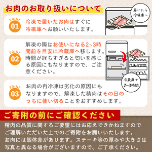 鹿児島県産 豚かしら ブロック(約300g前後×3P) 国産 豚肉 冷凍【アグリおおすみ】A370-v01