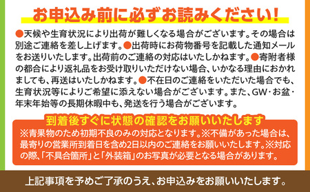 《2026年発送先行予約》【数量・期間限定】宮崎マンゴー4L×1・宮崎ライチ12玉 完熟 果実 太陽