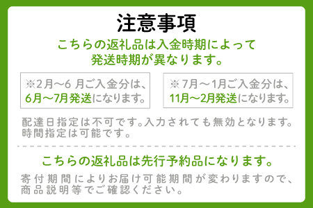 【季節限定品】あまくて真っ赤なビーツ2.5㎏【ビーツ 食べる輸血 奇跡の野菜  健康野菜 スーパーフード カエンサイ ボルシチ ポタージュ スムージー スイーツ ビタミン】