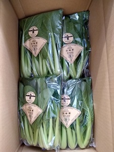 有機野菜おまかせ4種セット０６ 有機野菜 おまかせ 4種 セット 新鮮 九州屋ファーム 明野 山梨県 北杜市  [h216]