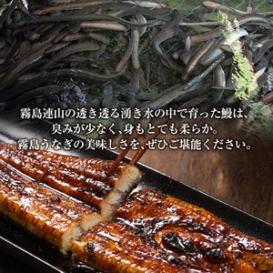 A5-034-RZ ＜冷蔵でお届け＞ 特別サイズ！霧島産うなぎ蒲焼き計380g以上(190g超×2尾)【田代水産】霧島市 国産 鹿児島県産 うなぎ 鰻 ウナギ 高級 蒲焼き 蒲焼 かばやき タレ