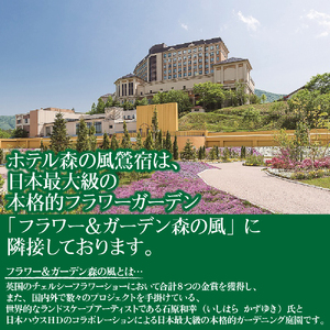 ホテル 森の風鶯宿 四季彩 ペア 宿泊券 2泊4食付き ／ 宿泊 旅行 露天風呂