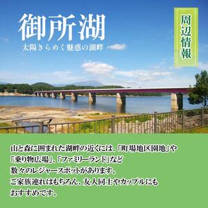 鶯宿温泉 ホテル鶯 1名様 宿泊券 1泊2食付き ／ 鴬宿温泉 温泉 秘湯 旅館 ホテル 宿泊