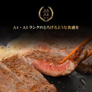 （K8-007）【やまなか家】いわて牛サーロインステーキ 600ｇ / 和牛 牛肉 ステーキ 肉