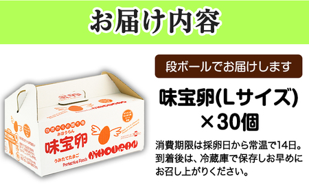 朝獲れ卵 味宝卵 (30個) 卵 Lサイズ 送料無料 鶏卵《90日以内に出荷予定(土日祝除く)》