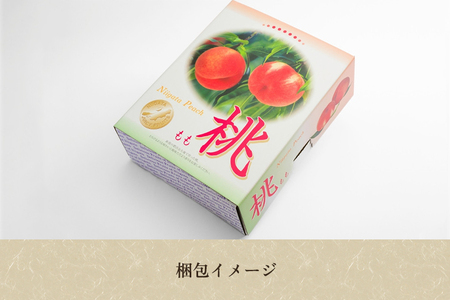 【2026年先行予約】新潟県産 厳選旬のもも 約2kg（1品種） 桃