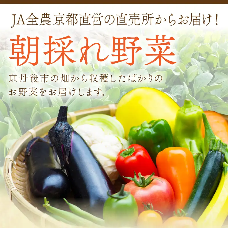 直売所直送 「京都・京丹後産 季節の野菜」お任せ詰め合わせBOX（5品） 春夏秋冬定期便4回 コシヒカリ精米 京野菜 季節 新鮮 ふるさと納税 野菜