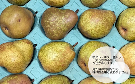 【2026年度先行予約】山形県産 訳あり ラ・フランス 5kg なし ナシ 梨 デザート フルーツ 果物 くだもの 果実 食品 山形県 FSY-0725