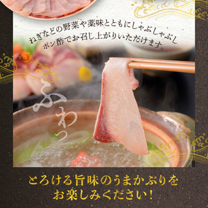 S137-007_【天草育ち/産地直送】活じめ！うまかぶりしゃぶしゃぶ用スライス　300g×２P