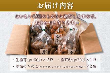 吉木椎茸農園　肉厚生椎茸と季節のきのこセット_YO087_001