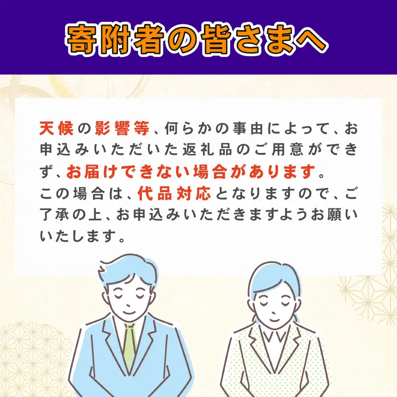 家庭用 愛媛みかん 木成り 河内晩柑 10kg 南四国ファーム 愛媛みかん B010-035013