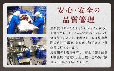  6種馬肉バラエティ 約520g (赤身切り落とし・コウネ・フタエゴダイス・線切り(ユッケ)・桜うまトロ・馬肉ハンバーグ) 