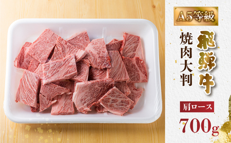 飛騨牛 A5等級 焼肉 霜降り 700g  焼肉 牛肉 [S427]