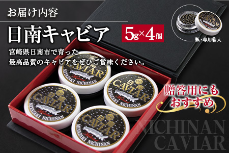日南CAVIAR キャビア 5g 4個 計20g 魚卵 魚介 国産 食品 加工品 高級食材 贅沢 三大珍味 黒いダイヤ おつまみ ご褒美 記念日 お祝い パーティー オードブル 個包装 ギフト 贈り物 贈答 プレゼント お取り寄せ グルメ おすすめ 水産物 宮崎県 送料無料_FD3-23