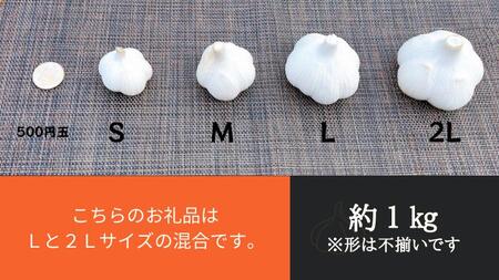 【生にんにく田子町産 (なま)】L＆2L size『5kg』