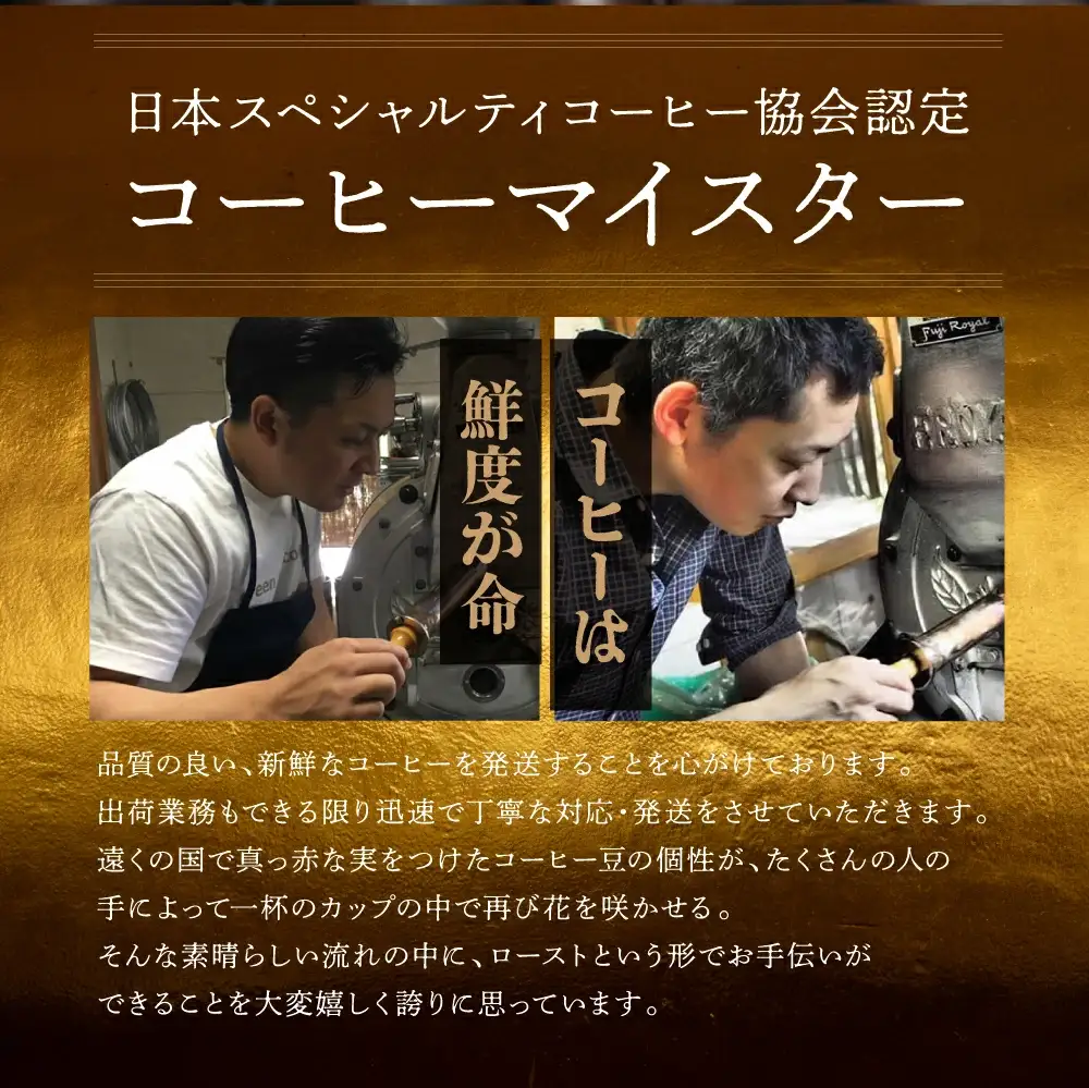 自家焙煎珈琲店「緑の館」／毎月のおすすめスペシャルティコーヒー 200g×4種＋ブレンド 200g×1種（計1kg）コーヒー豆 珈琲【17-82】