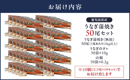 【 土用の丑の日特集 】 2120 鹿児島県産 うなぎ蒲焼 50尾 KN058-002-50 魚 冷凍 鰻