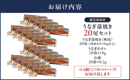 【 土用の丑の日特集 】 2122 鹿児島県産 うなぎ蒲焼 20尾 KN058-002-20 魚 冷凍 鰻