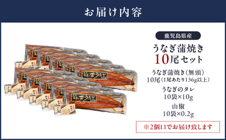【 土用の丑の日特集 】 2125 鹿児島県産 うなぎ蒲焼き 10尾 KN058-002-10 魚 冷凍 鰻