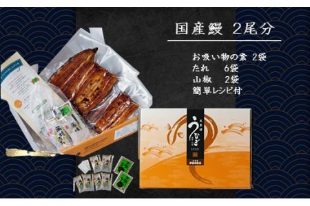 国産うなぎの蒲焼〈冷凍・真空〉約105ｇ×2パック（2尾分）合計約210ｇ