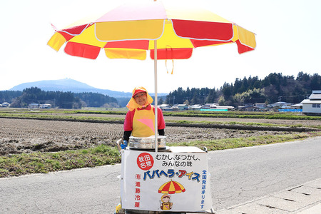 ババヘラ・アイスセット [タッパアイス2パック（1,000ml×2）、コーン10個、専用ヘラ1個]【進藤冷菓】ご当地アイス