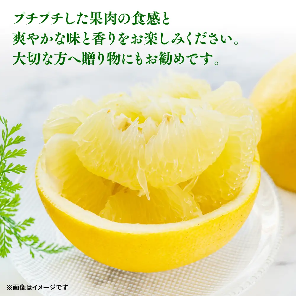 晩白柚(ばんぺいゆ)大分県産　　 24個 19キロ超 超訳あり】晩白柚 ばんぺいゆ (約900g×2玉) 訳あり晩白柚 訳あり