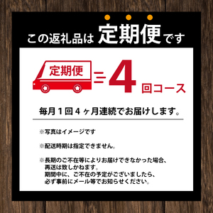 【定期便4回】バリスタズ ブラック 390ml×24本入 タリーズコーヒー