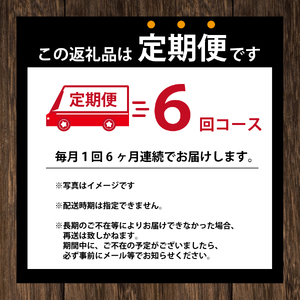 【定期便6回】バリスタズ 無糖ラテ 370ml×24本入 タリーズコーヒー