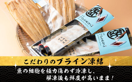 【全6回定期便】対馬産 べっぴん あなご 詰め合わせ  対馬 新鮮 穴子 刺身 海産物 魚介  [WAQ005]