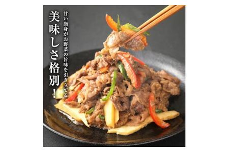 豊後牛 切り落とし(計900g・約300g×3個)牛肉 お肉 こま切れ 冷凍 和牛 国産 大分県産【106400400】【まるひで】