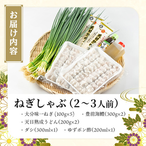 ねぎしゃぶ(鱧はも)セット(5品)ねぎしゃぶ しゃぶしゃぶ 鱧 はも 鍋 お鍋 うどん付き セット【101500201】【菊水旅館】