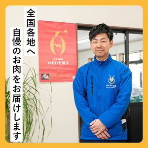 おおいた和牛メンチカツ(計1kg・100g×10個) 牛肉 お肉 メンチカツ 惣菜 揚げるだけ 簡単調理 手作り おかず お弁当 おおいた和牛 和牛【110200100】【吉野】