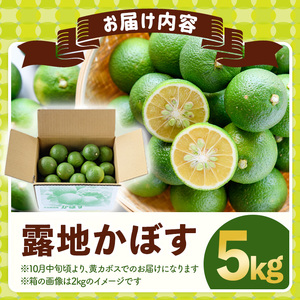 ＜先行予約受付中！2026年8月上旬以降順次発送予定＞露地カボス(約5kg)かぼす カボス 柑橘 特産品 大分県産【107100403】【あいはな農園】