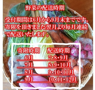 【3ヶ月定期便】旬の野菜7種詰め合わせ『たくみのほほ笑みセット』（2026年6～12月出荷／北海道・九州・沖縄県・離島は配送不可） 旬彩 長野県 信州 おまかせ 高原  産地直送 季節 詰合せ 有機 栽培