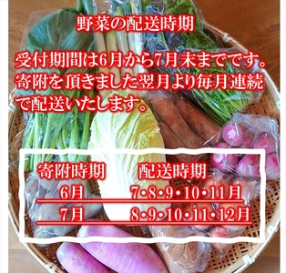 【5ヶ月定期便】旬の野菜7種詰め合わせ『たくみのほほ笑みセット』（2026年6～12月出荷／北海道・九州・沖縄県・離島は配送不可） 旬彩 長野県 信州 おまかせ 高原  産地直送 季節 有機 栽培