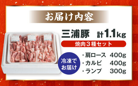 豪華三浦豚 1.1kg 焼肉セット 肩ロース カルビ ランプ / 恵那市 / あづま精肉店 [AUDL005]