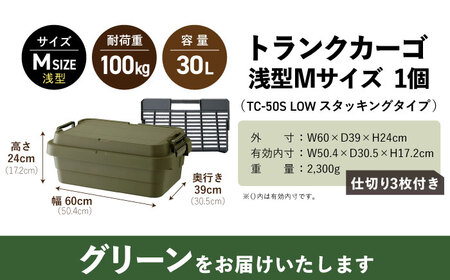 トランクカーゴ 専用仕切り板セット ロウタイプ M1個  グリーン /  恵那市 / 東谷 [AUAD037]